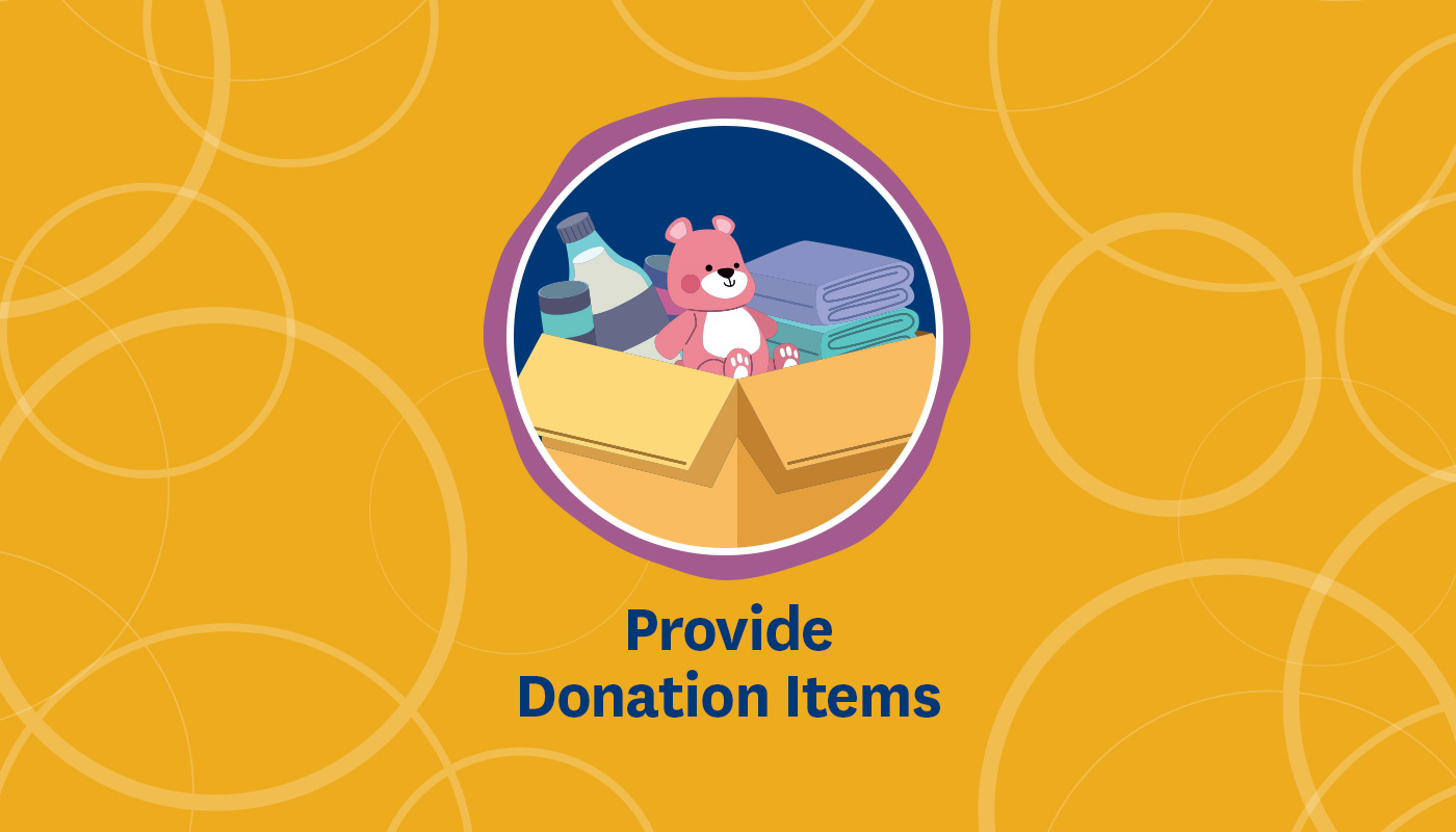 Provide Donation Items, Virtual