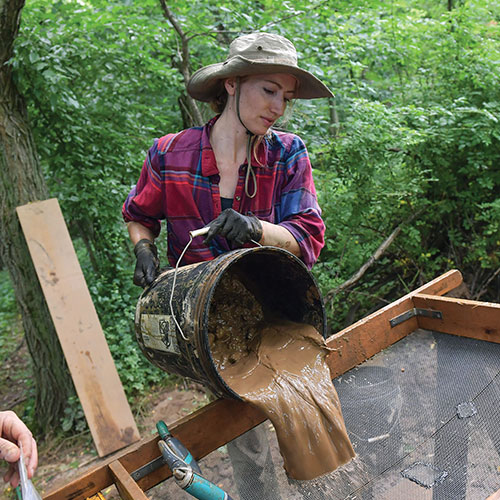 Animals cause survey image