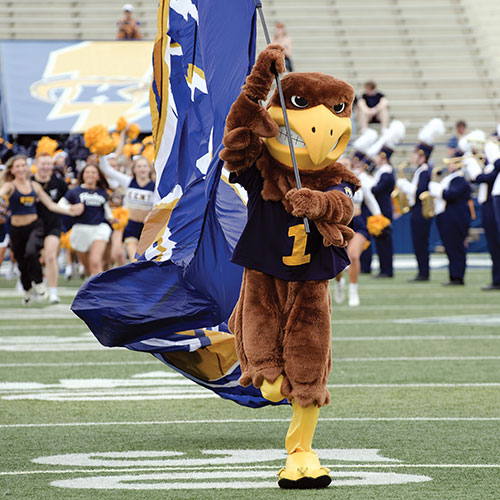 Athletics cause survey image