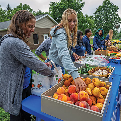 Basic needs cause survey image