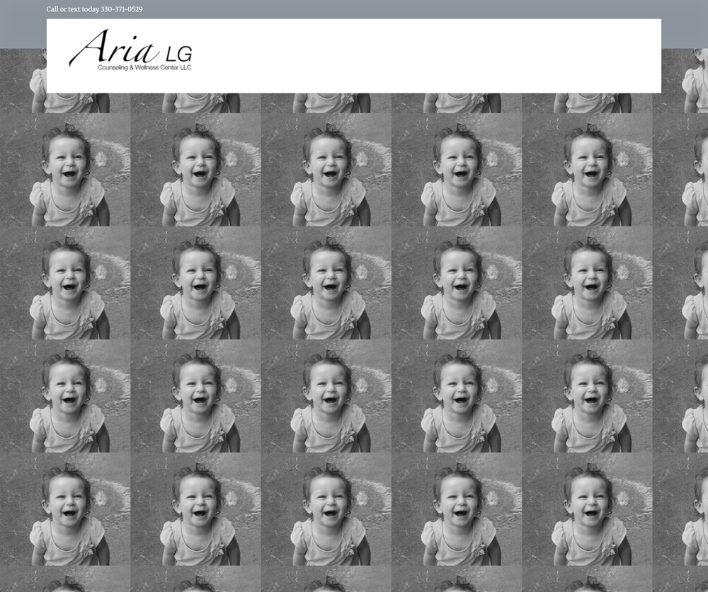 Aria LG Counseling & Wellness Center, LLC