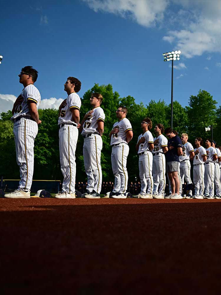 support baseball