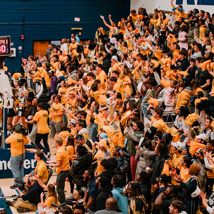 Crowd at game